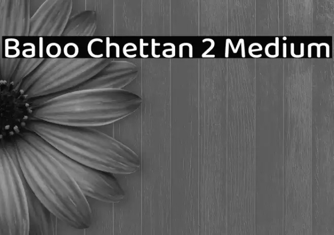 Baloo Chettan 2 Medium Font examples