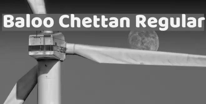 Baloo Chettan Regular Font examples