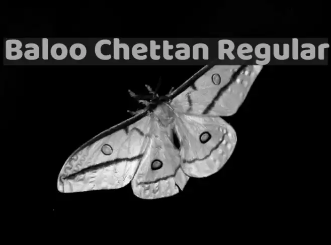 Baloo Chettan Regular Font examples