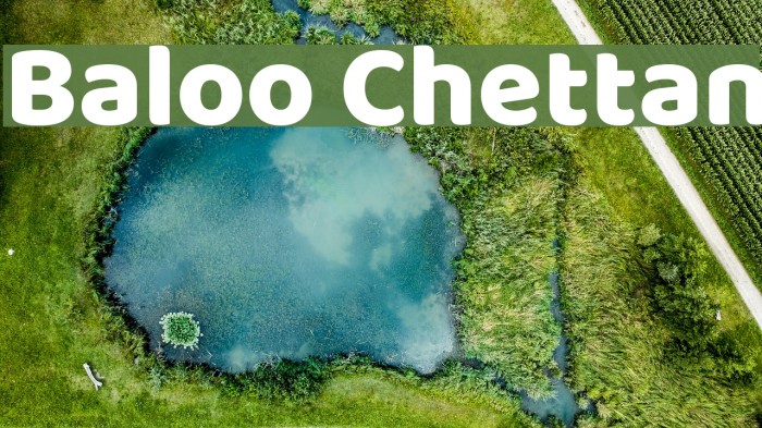 Baloo Chettan Polices examples