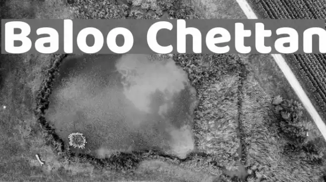 Baloo Chettan Polices examples