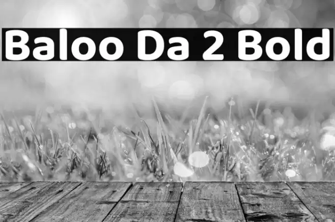 Baloo Da 2 Bold Font examples
