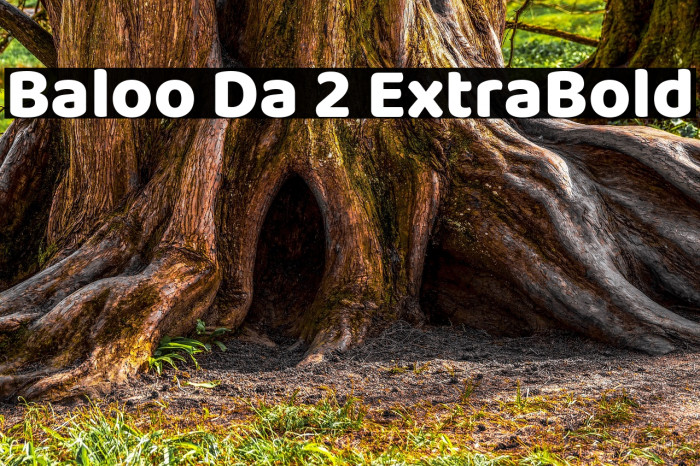 Baloo Da 2 ExtraBold Font examples