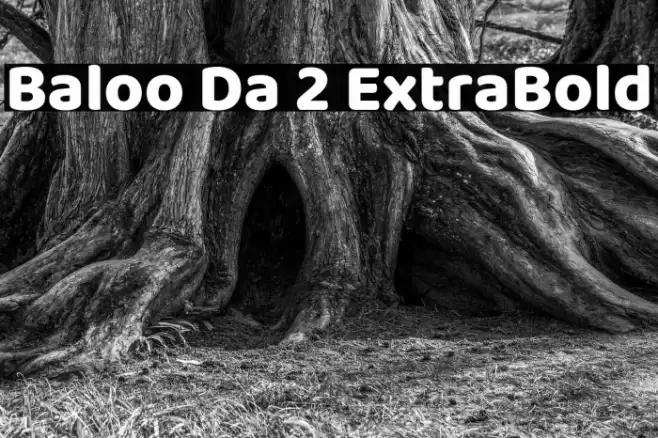 Baloo Da 2 ExtraBold Font examples