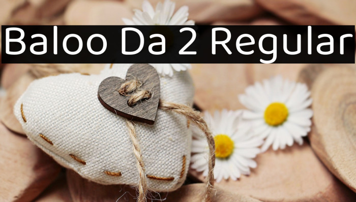 Baloo Da 2 Regular Font examples