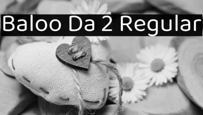 Baloo Da 2 Regular Example 1