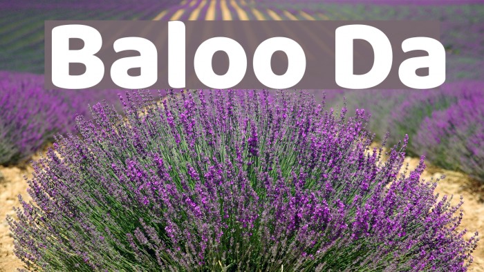 Baloo Da Font examples
