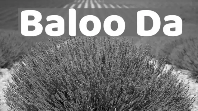 Baloo Da フォント examples