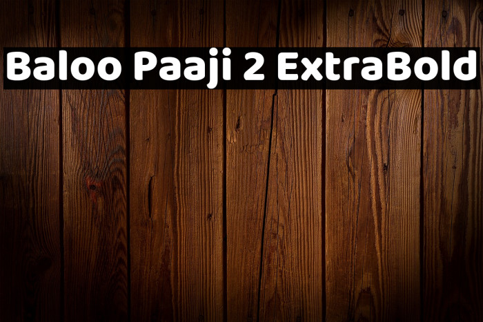 Baloo Paaji 2 ExtraBold Example 1