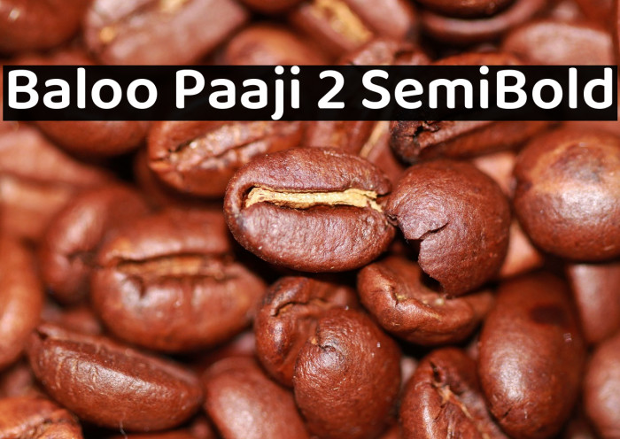 Baloo Paaji 2 SemiBold Example 1