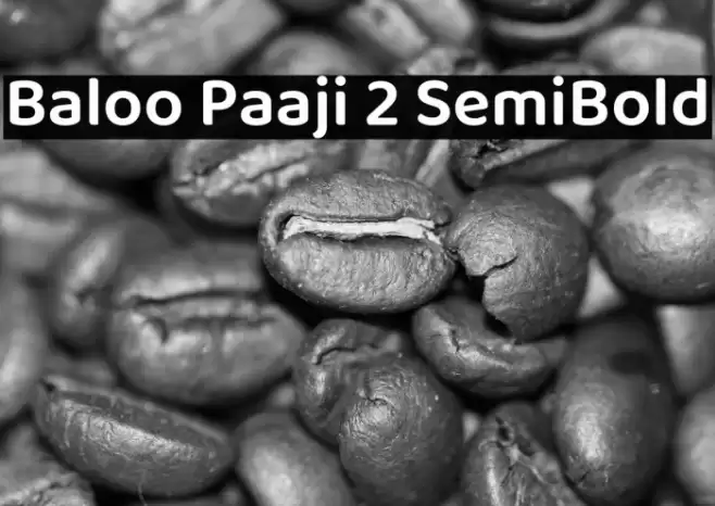 Baloo Paaji 2 SemiBold Font examples
