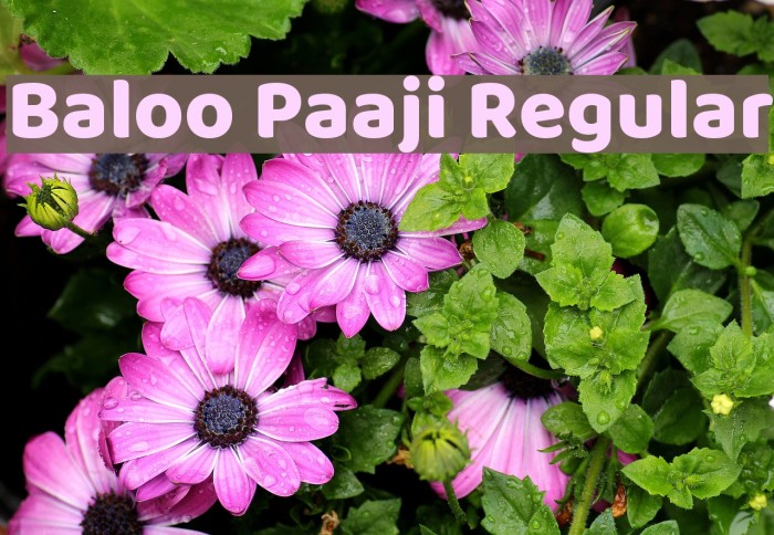 Baloo Paaji Regular Font examples