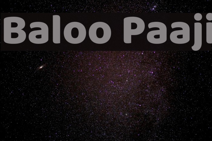 Baloo Paaji Font examples