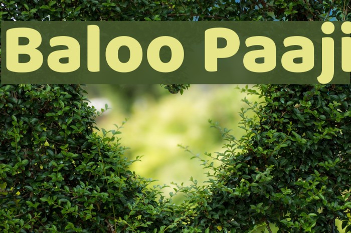 Baloo Paaji Font examples