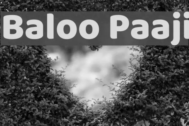 Baloo Paaji Example 3