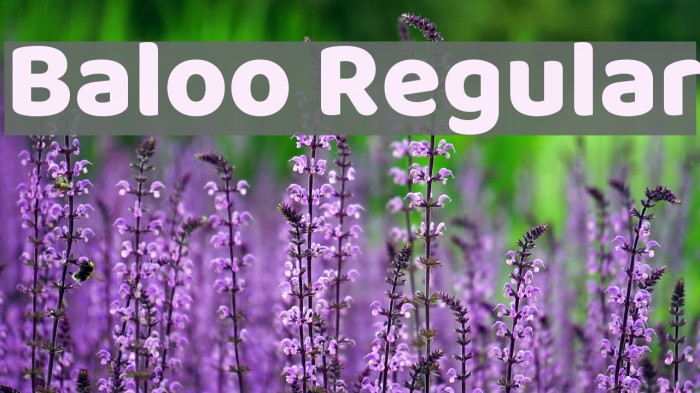 Baloo Regular Font examples