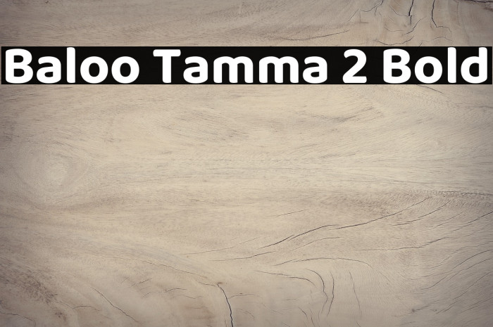 Baloo Tamma 2 Bold Example 1