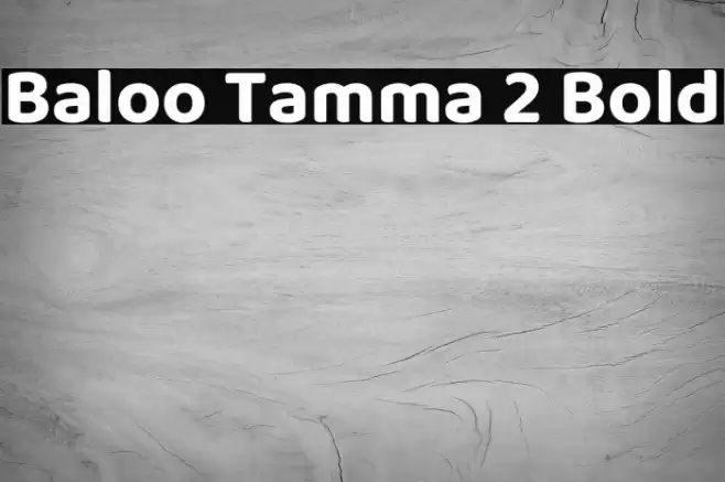 Baloo Tamma 2 Bold Font examples