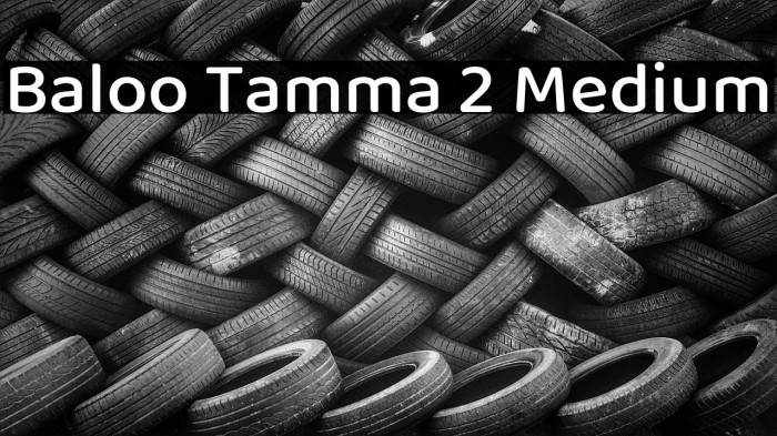 Baloo Tamma 2 Medium Font examples