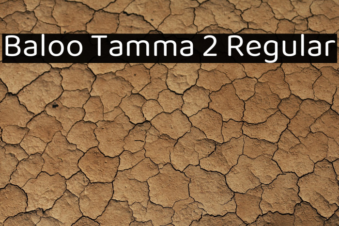 Baloo Tamma 2 Regular Font examples