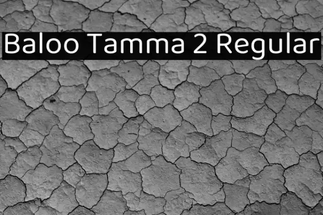 Baloo Tamma 2 Regular Example 1