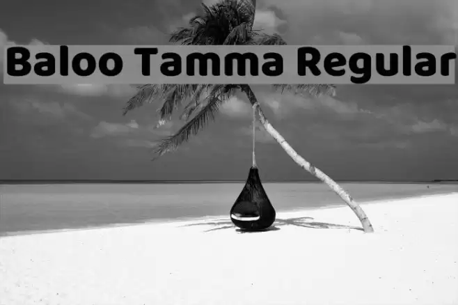 Baloo Tamma Regular Font examples