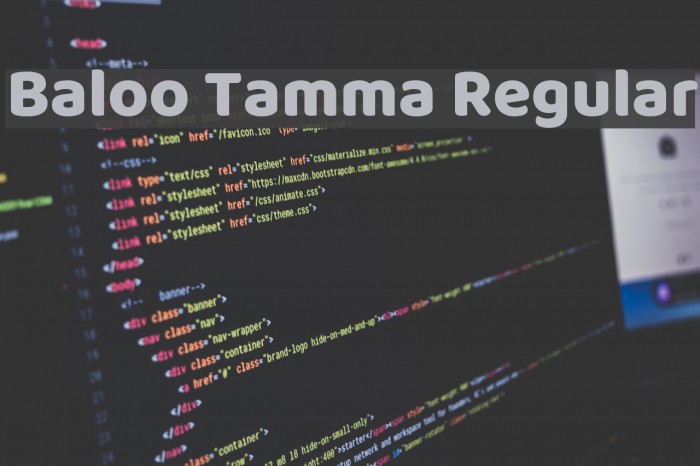 Baloo Tamma Regular Font examples