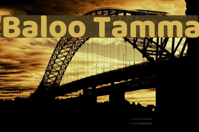 Baloo Tamma Font examples