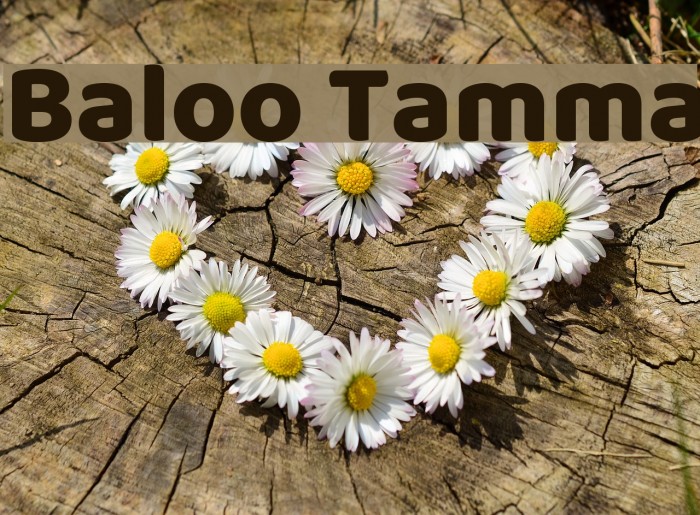 Baloo Tamma Font examples