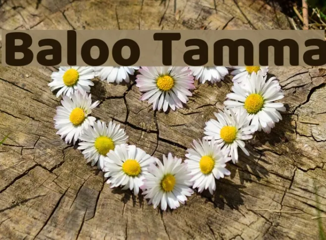 Baloo Tamma Example 2