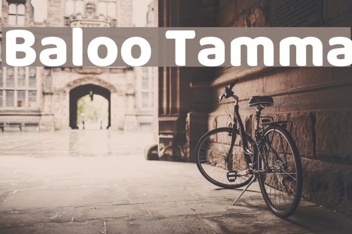 Baloo Tamma Font examples