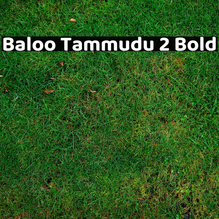 Baloo Tammudu 2 Bold Font examples