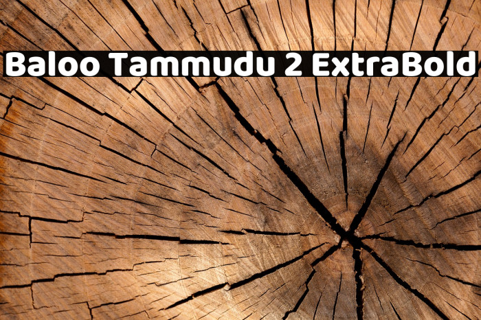 Baloo Tammudu 2 ExtraBold Example 1
