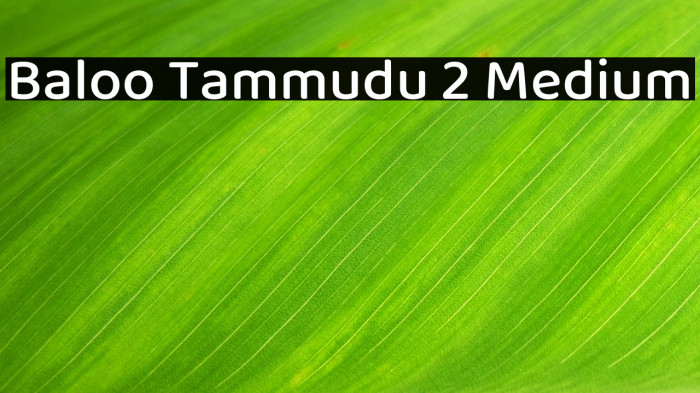 Baloo Tammudu 2 Medium Example 1