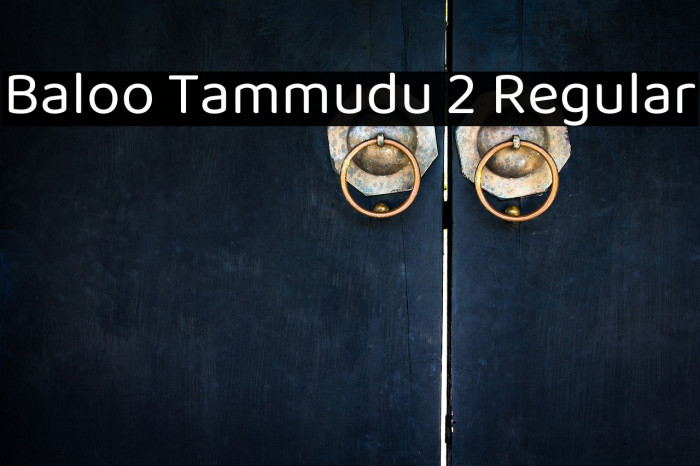 Baloo Tammudu 2 Regular Font examples