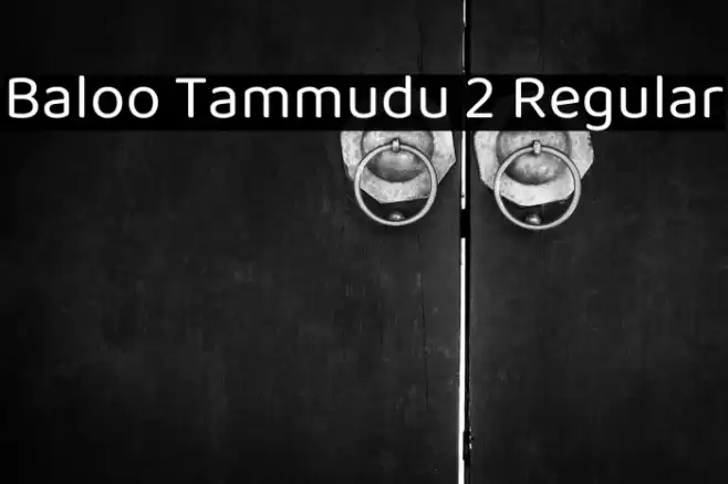 Baloo Tammudu 2 Regular Font examples