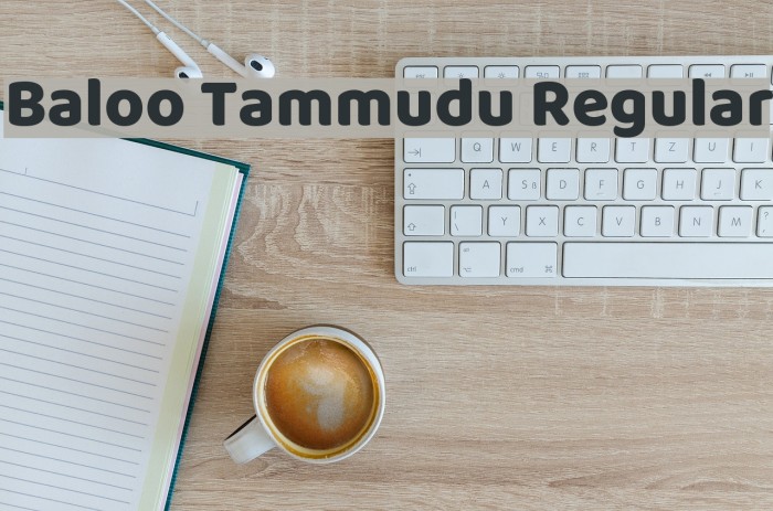 Baloo Tammudu Regular Font examples