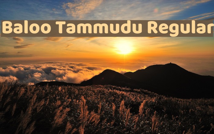 Baloo Tammudu Regular Font examples