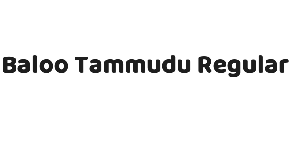 Baloo Tammudu Regular Logo