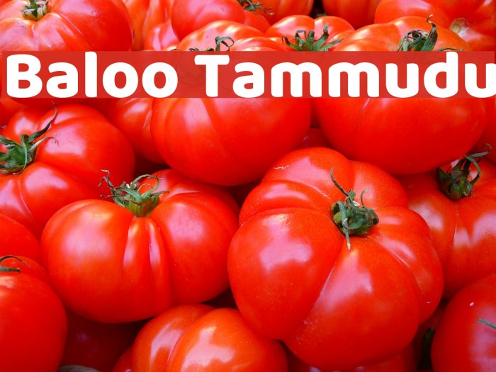 Baloo Tammudu Font examples