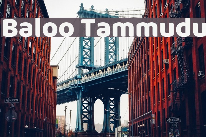 Baloo Tammudu Font examples