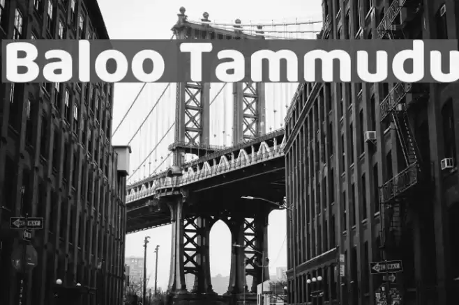 Baloo Tammudu Font examples
