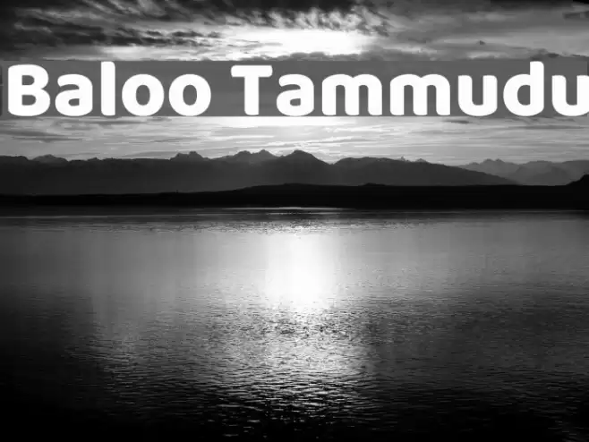 Baloo Tammudu Font examples