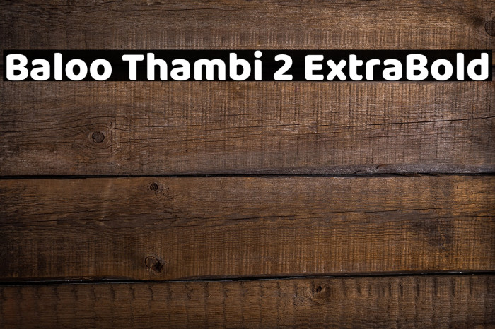 Baloo Thambi 2 ExtraBold Example 1