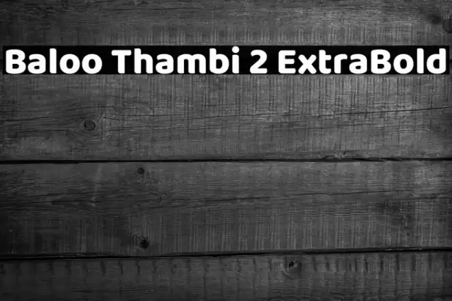 Baloo Thambi 2 ExtraBold Font examples