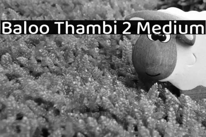 Baloo Thambi 2 Medium Font examples
