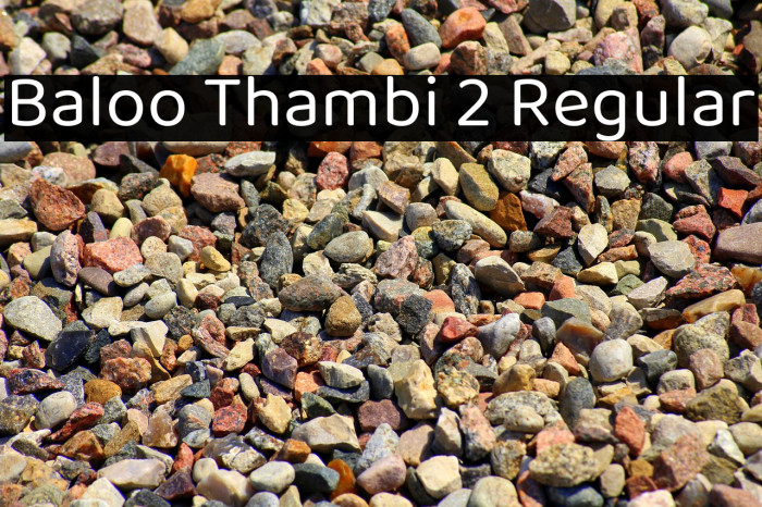 Baloo Thambi 2 Regular Example 1