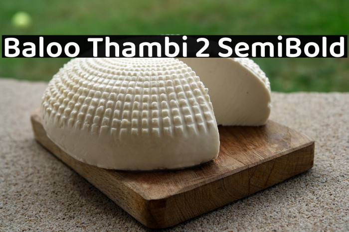 Baloo Thambi 2 SemiBold Example 1