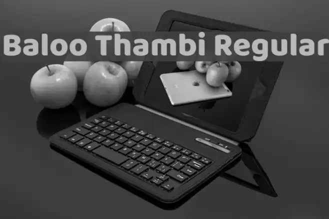 Baloo Thambi Regular Font examples