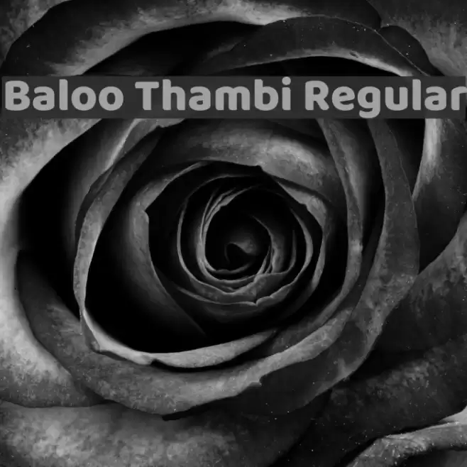 Baloo Thambi Regular Font examples